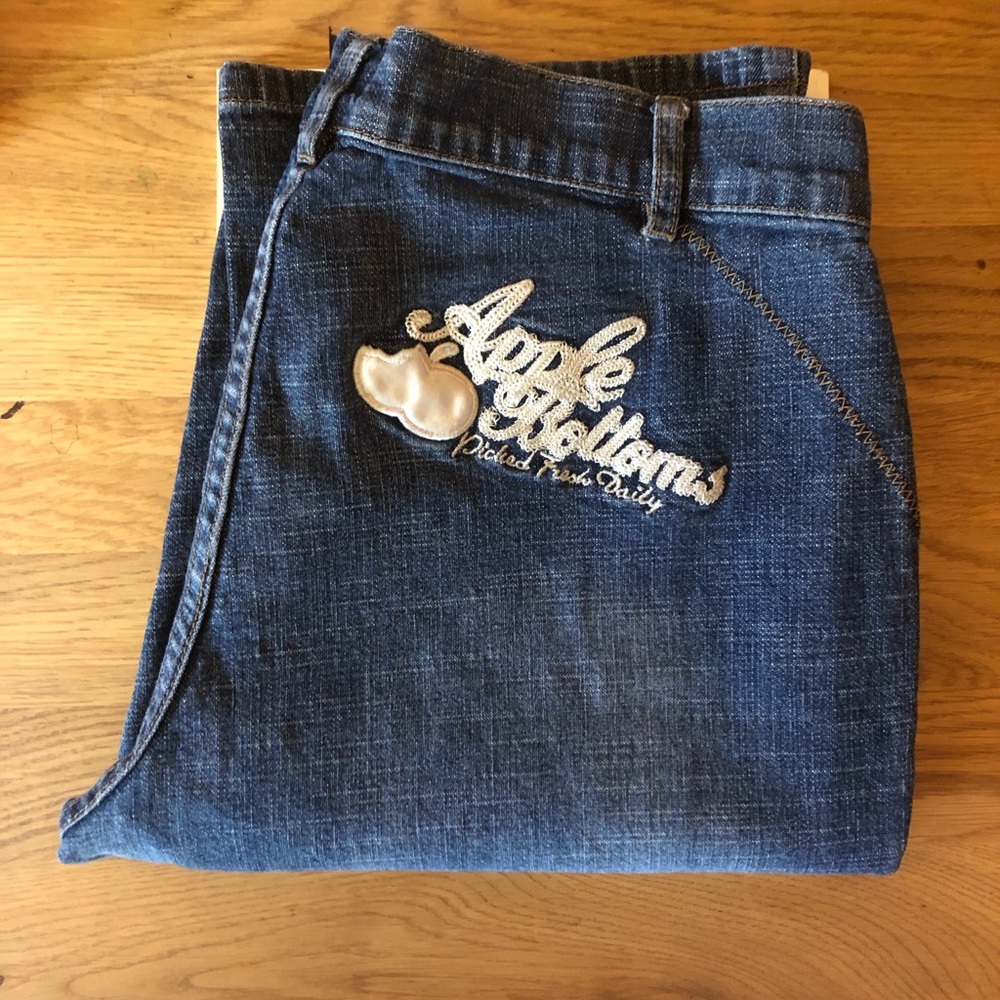 Vintage APPLE BOTTOM JEANS Y2K